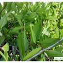 우석농장 이미지