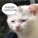 씨유 오천힐스테이트점 | 25년 11월 일상