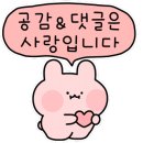 육팔육회