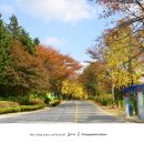 고운목장 이미지