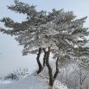 하늘나라