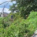 삼죽축구장 이미지