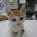 신양초등학교앞 이미지