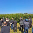 제주감귤농업협동조합안덕지점 이미지