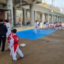 금빛성인태권도 이미지