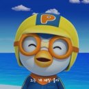 음파음파 수영장 | 수영 입문 강습 준비물 수업 1일차 발차기 음파