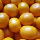 경종농장 이미지