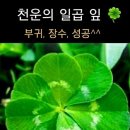 천운 이미지