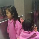 아인유치원 이미지