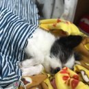 명당에어컨 이미지
