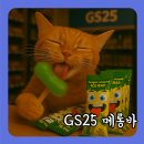지에스25다동타운