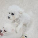 연산유치원 이미지