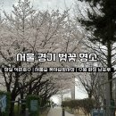 수원시 여성문화공간-休 안다미로(강의실2) | 서울 경기 벚꽃 개화 만개 시기 벚꽃 명소 가볼만한 곳 포토존 스팟 추천 실시간