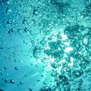 에스플러스팜 이미지