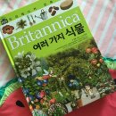 브리태니커 만화 백과 여러 가지 식물