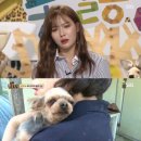 인식농장 이미지