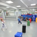 도원태권도장 이미지