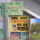 이 여름은 영원할 리가 없지 | 연극 <나의 별> 후기, 예매정보