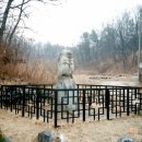 대포리 석조여래입상 이미지