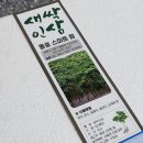 동호팜 | 새싹삼으로 건강챙기기 동호스마트팜 후기