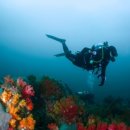 (주)버블디 이미지