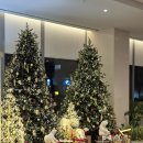 세종덴탈 | 코트야드 바이 메리어트 세종 - 프리미어 킹베드 시티뷰 후기