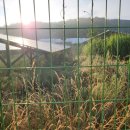 무성햇빛발전소 이미지