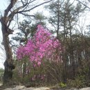 성안드레아 병원 이미지