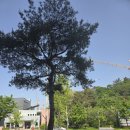 SM골프클럽 | 광주 골프채 매입 후 타이틀리스트 SM10 웨지 교환한 생생한 후기 및 핵심 정보 분석