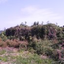 함덕리에 이미지