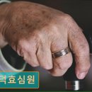 선덕효심원 이미지