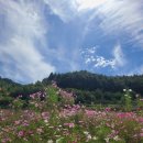 (주)시루산