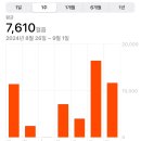 웅진부동산중개 | 240901 볼 것도 할 것도 갈 곳도 많다