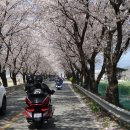 참한우농장 이미지