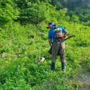 봉삼약초농장 이미지