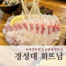 [대연동맛집] 가성비 좋은 경성대횟집 회뜨남 솔직후기