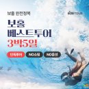 반딧불언덕 | 필리핀 보홀 여행 반딧불투어 초콜릿힐 육상투어 패키지