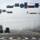 천리포선착장 | 천리포수목원 지금(26.4.2)가면 안되는 이유, 아쉬운 후기와 주변 맛집