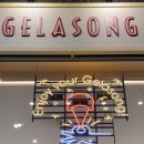 젤라송(GELASONG) 네이버블로그