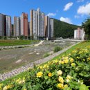 하천2리 경로당 이미지