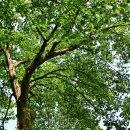 문하경로당 이미지