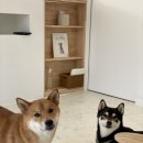 보리네민박 이미지