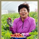 김점례농장 이미지