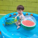 리틀하버드어린이집 이미지