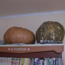 구인농장 이미지