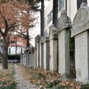 약령공원(시장) 이미지