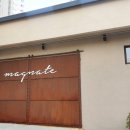 매그네이트 이미지