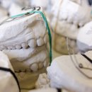 청춘플란트치과의원 이미지