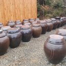 지리산정자나무펜션 | 구이맛집,지리산주변숙소를 찿으신다면 노고단,뱀사골이 가까운 지리산숙소 정자나무펜션 추천합니다.