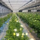 홍성1농장 이미지